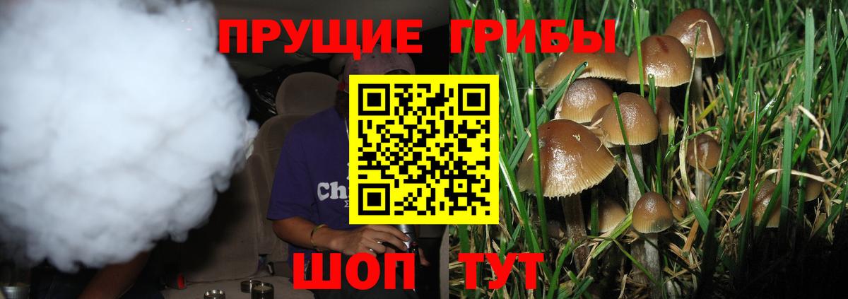 Галлюциногенные грибы прущие грибы Жуковский